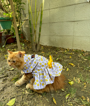 Pawgy Pets Smiley Daisy Dress Lavender(Cat)