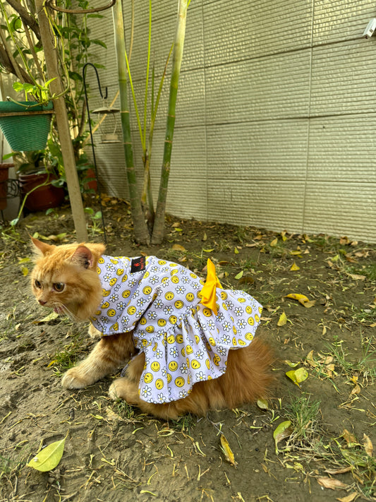 Pawgy Pets Smiley Daisy Dress Lavender(Cat)
