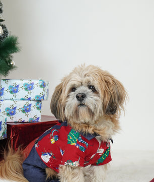 Pawgy Pets Four-Legged Dungaree