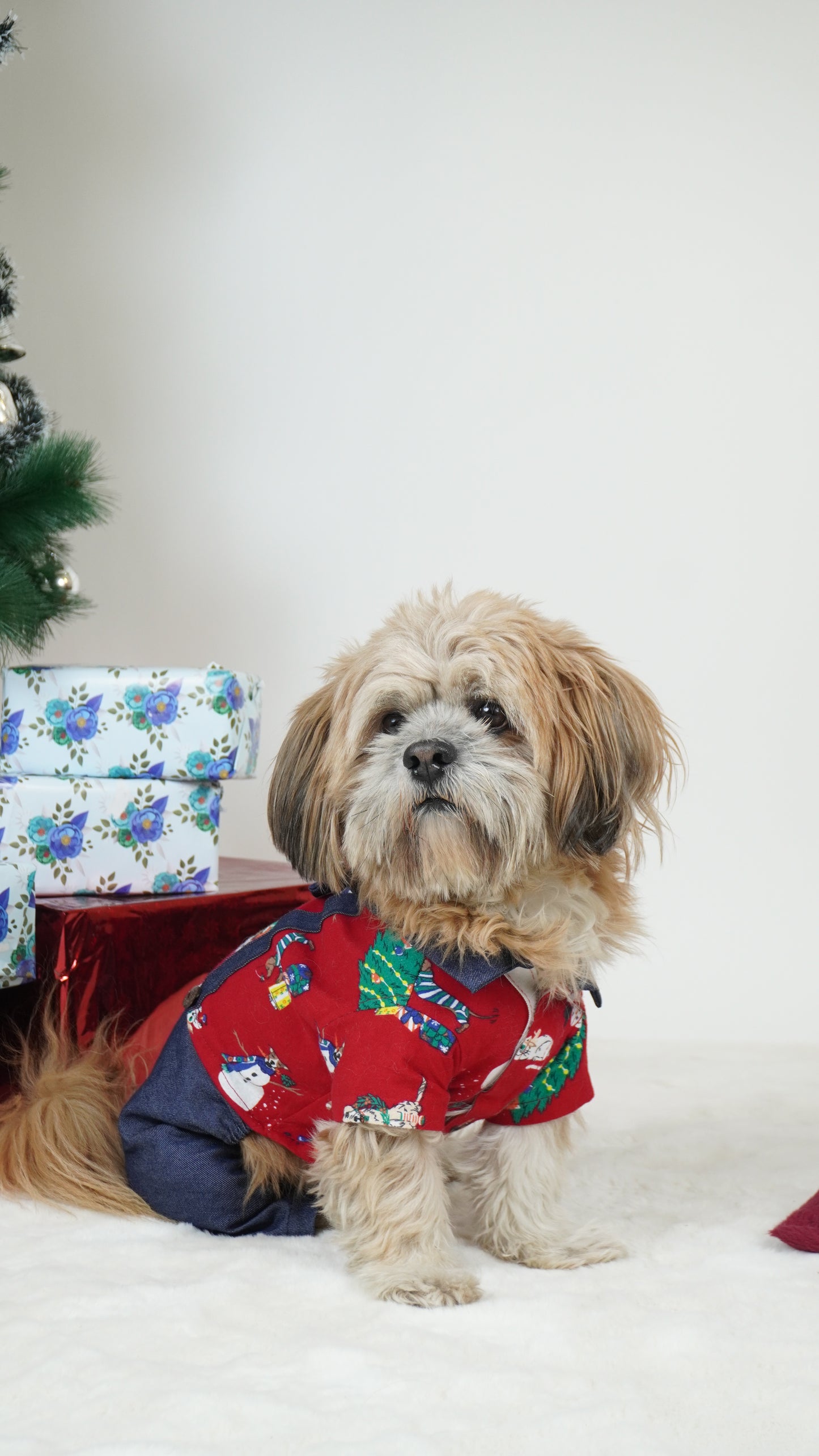 Four-Legged Dungaree | For Dogs | Pawgy Pets