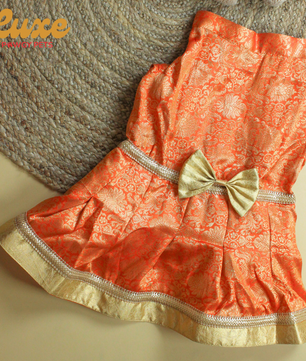 Luxe by Pawgy Pets Brocade Orange Dress