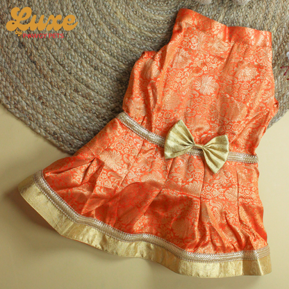 Orange Brocade Dress | Luxe Collection | Pawgy Pets