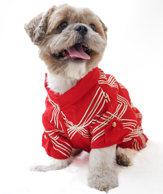 Pawgy Pets Festive Shirt Red Gota for Dogs
