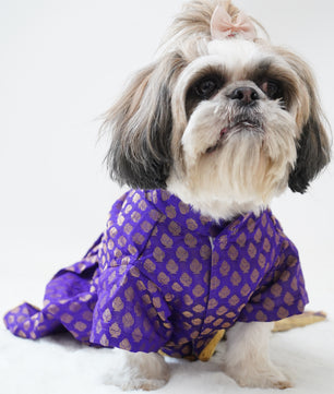 Pawgy Pets Occasion wear Dress Purple for Dogs