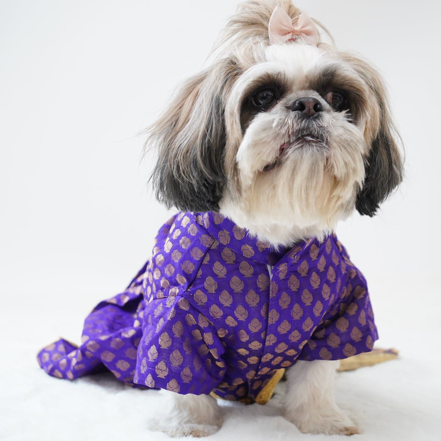 Pawgy Pets Occasion wear Dress Purple for Dogs