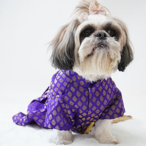 Purple Occasion Wear Dress | For Dogs | Pawgy Pets