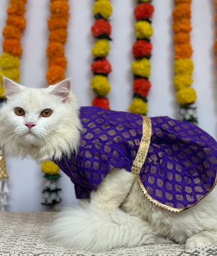Pawgy Pets Occasion wear Dress Purple: Cat