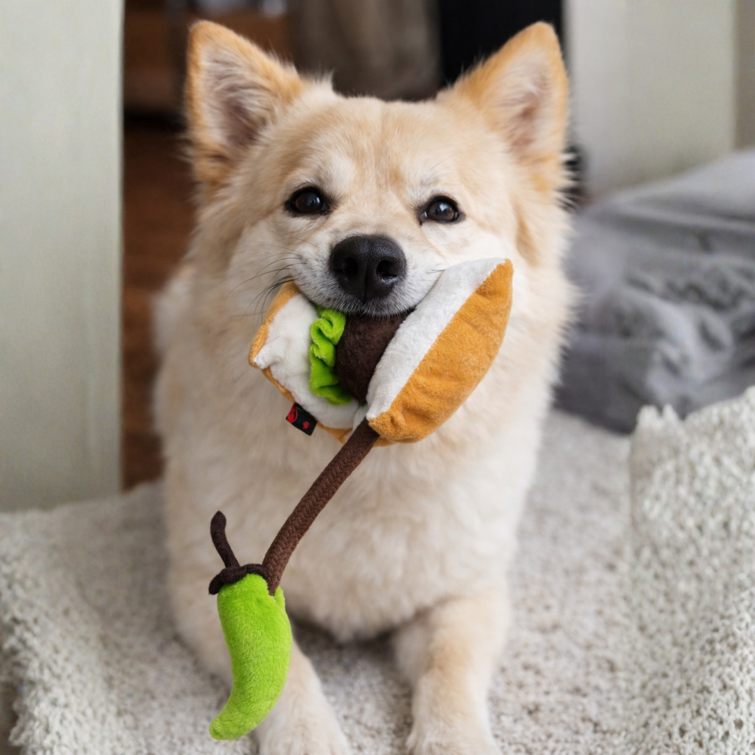 Vada Pav Doggo Plush + Rope Toy | Pawgy Pets