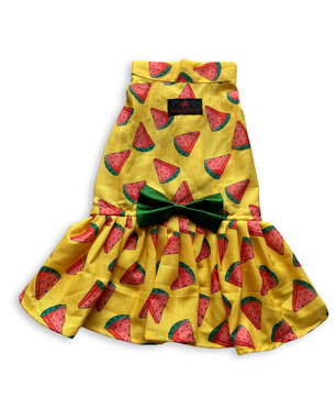 Pawgy Pets Watermelon sugar dress Yellow for Dogs