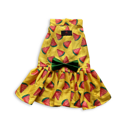 Watermelon Sugar Dress | Yellow | For Dogs | Pawgy Pets
