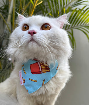 Pawgy Pets Casual Bandana: Fries for Cats and Dogs