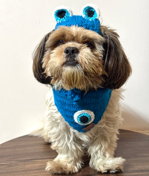 Pawgy Pets Evil Eye Cap and Bandana set for Dogs and Cats