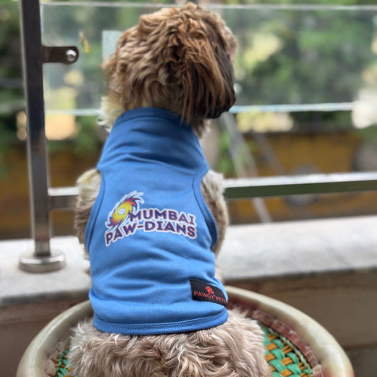 Pawgy Pets Mumbai-Pawdians  for Dogs and Cats