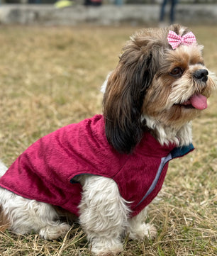 Pawgy Pets Reversible Sando: Plaid with maroon for Dogs & Cats