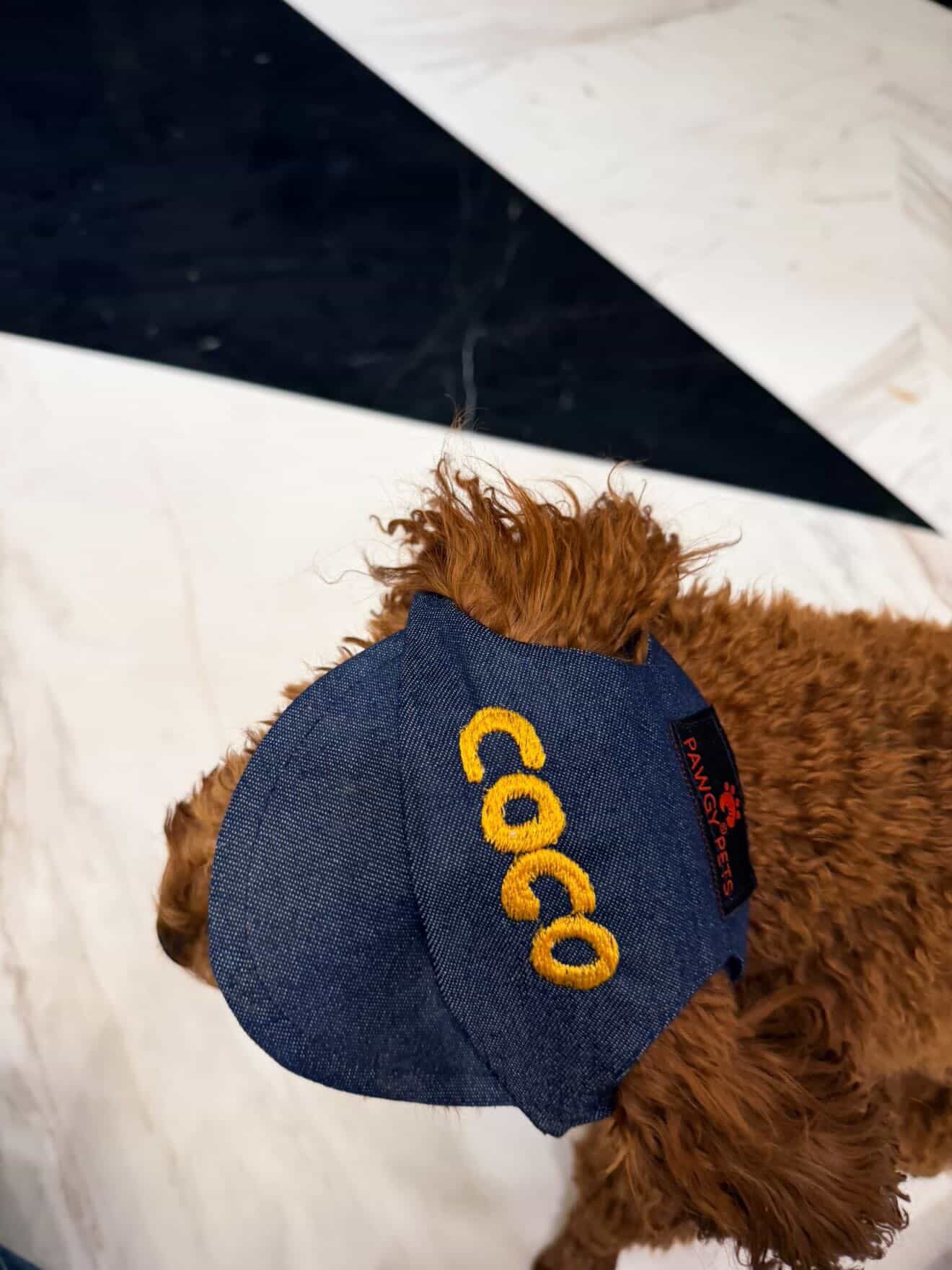 Denim Cap | Personalised for Dogs | Pawgy Pets