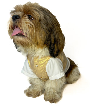 South Indian Traditional Kasavu Kurta Set for Dogs and Cats