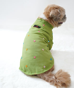 Pawgy Pets Festive Shirt Pista Green for Dogs
