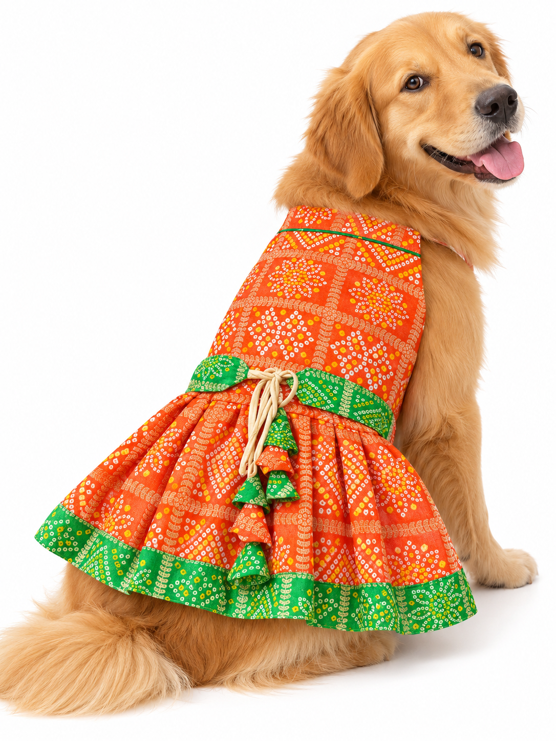 Festive Dress | Orange & Green | For Dogs | Pawgy Pets