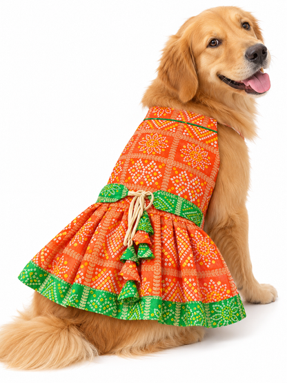 Festive Dress | Orange & Green | For Dogs | Pawgy Pets
