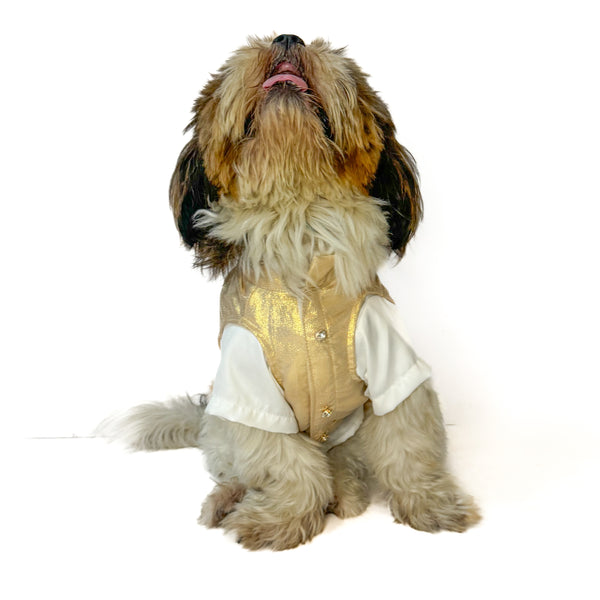 Kasavu Kurta Set | South Indian Traditional | For Dogs | Pawgy Pets