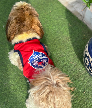 Pawgy Pets Delhi Dogi-Tails T-shirt for Dogs and Cats