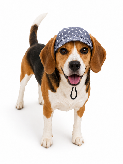 Denim Heart Cap | For Dogs | Pawgy Pets