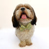 Pista Green Occasion Wear Bow Collar | For Dogs & Cats | Pawgy Pets