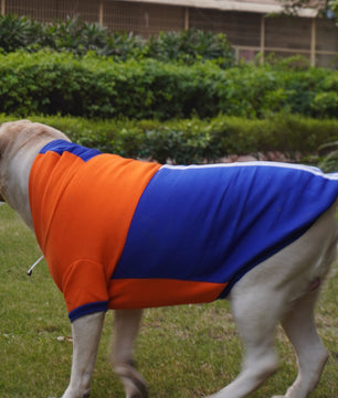Pawgy Pets Stripe Hoodie Pet Sweatshirt - Orange n Blue