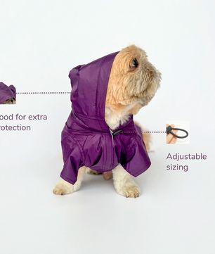 Raincoat: Purple