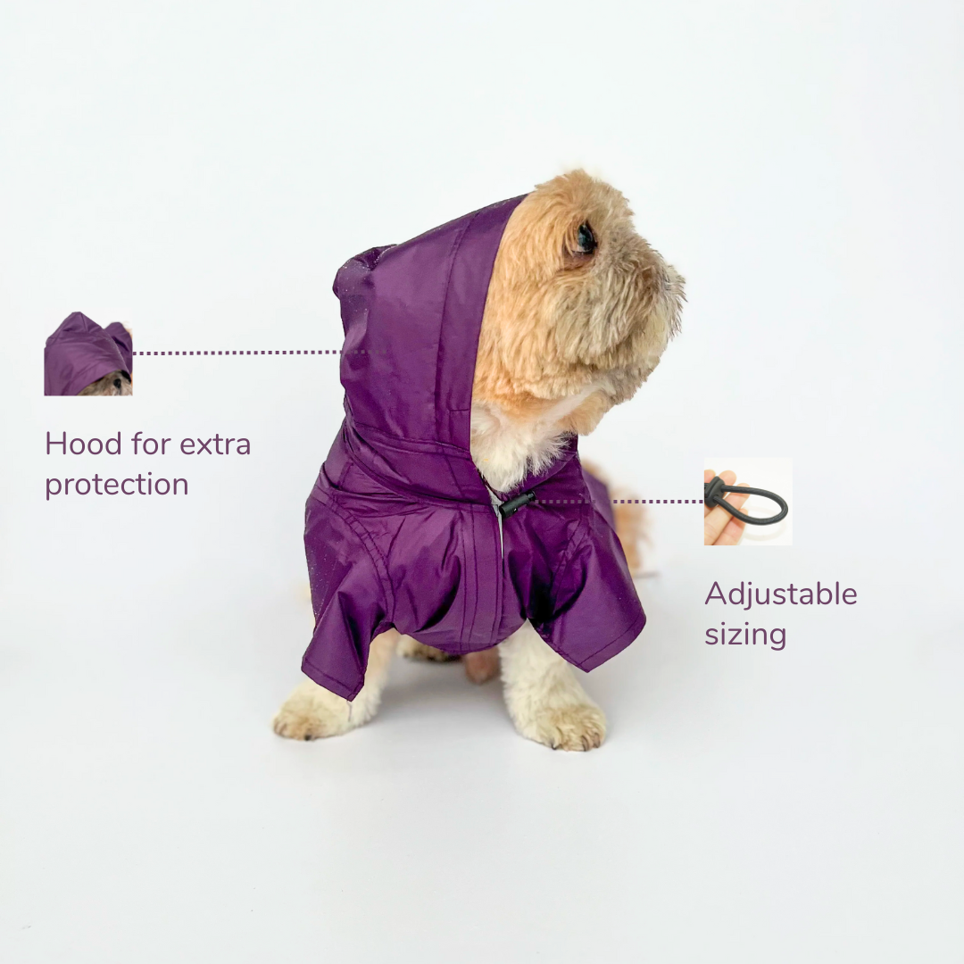 Purple Raincoat | For Dogs | Pawgy Pets
