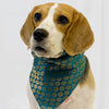 Teal Blue Occasion Wear Bandana | For Dogs & Cats | Pawgy Pets
