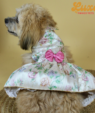 Luxe by Pawgy Pets Floral Dress White