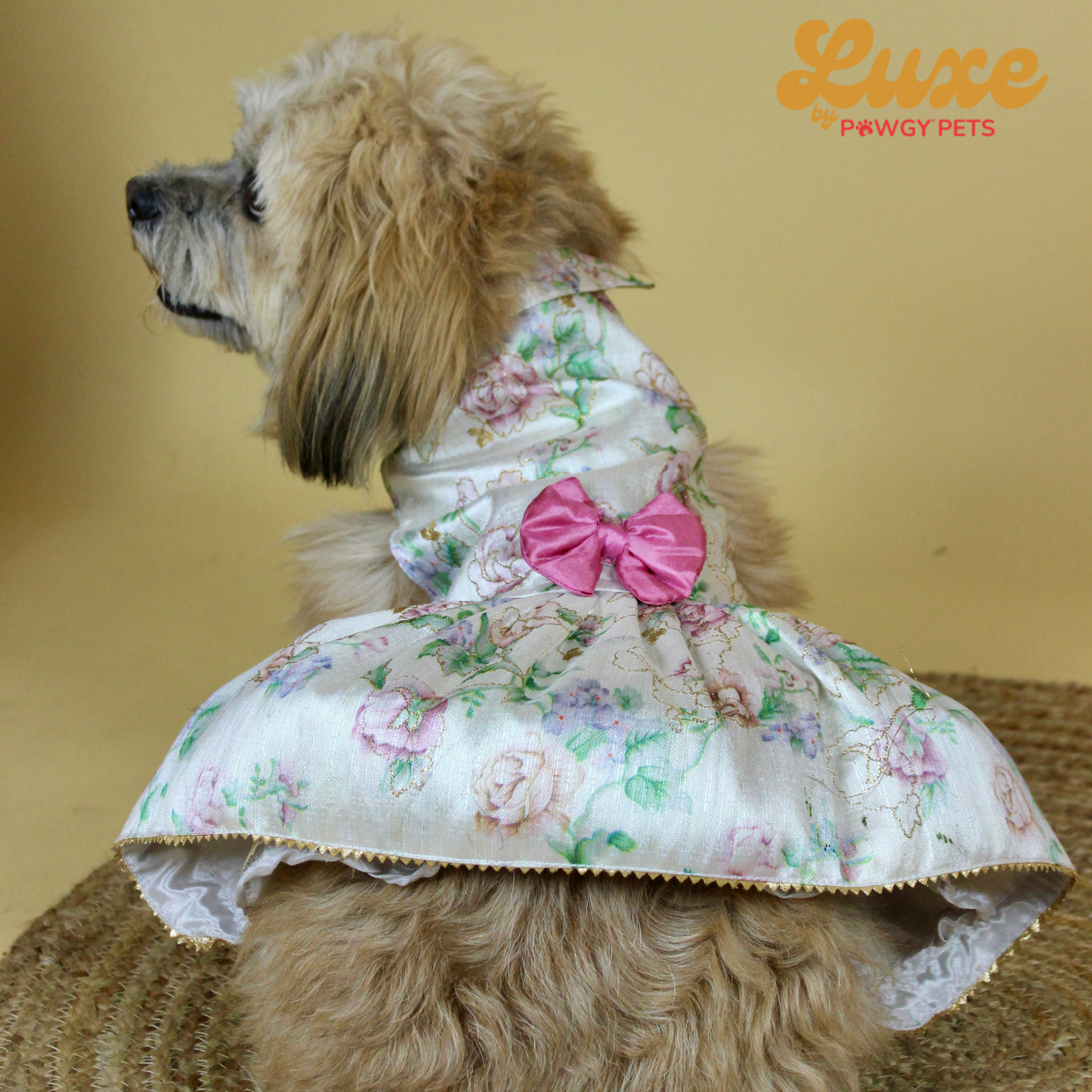 White Floral Dress | Luxe Collection | Pawgy Pets