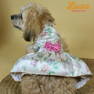 Luxe by Pawgy Pets Floral Dress White