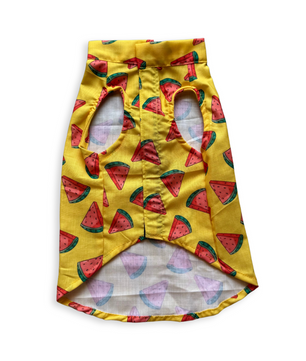 Pawgy Pets Watermelon sugar sando Yellow  for Dogs