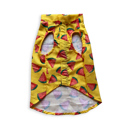 Watermelon Sugar Sando | Yellow | For Dogs | Pawgy Pets