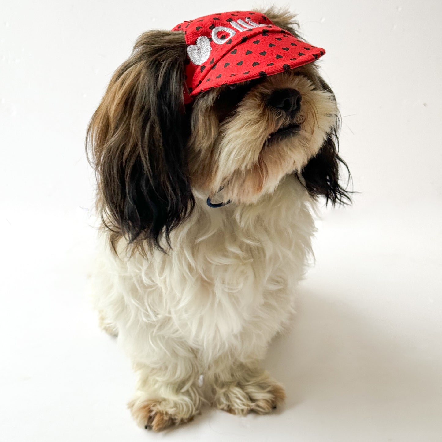 Pawgy Pets Personalised Dog Cap Red Hearts for Dog & Cats