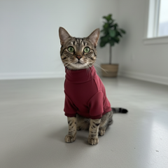 Pawgy Pets Super Soft Maroon High Neck for Cats