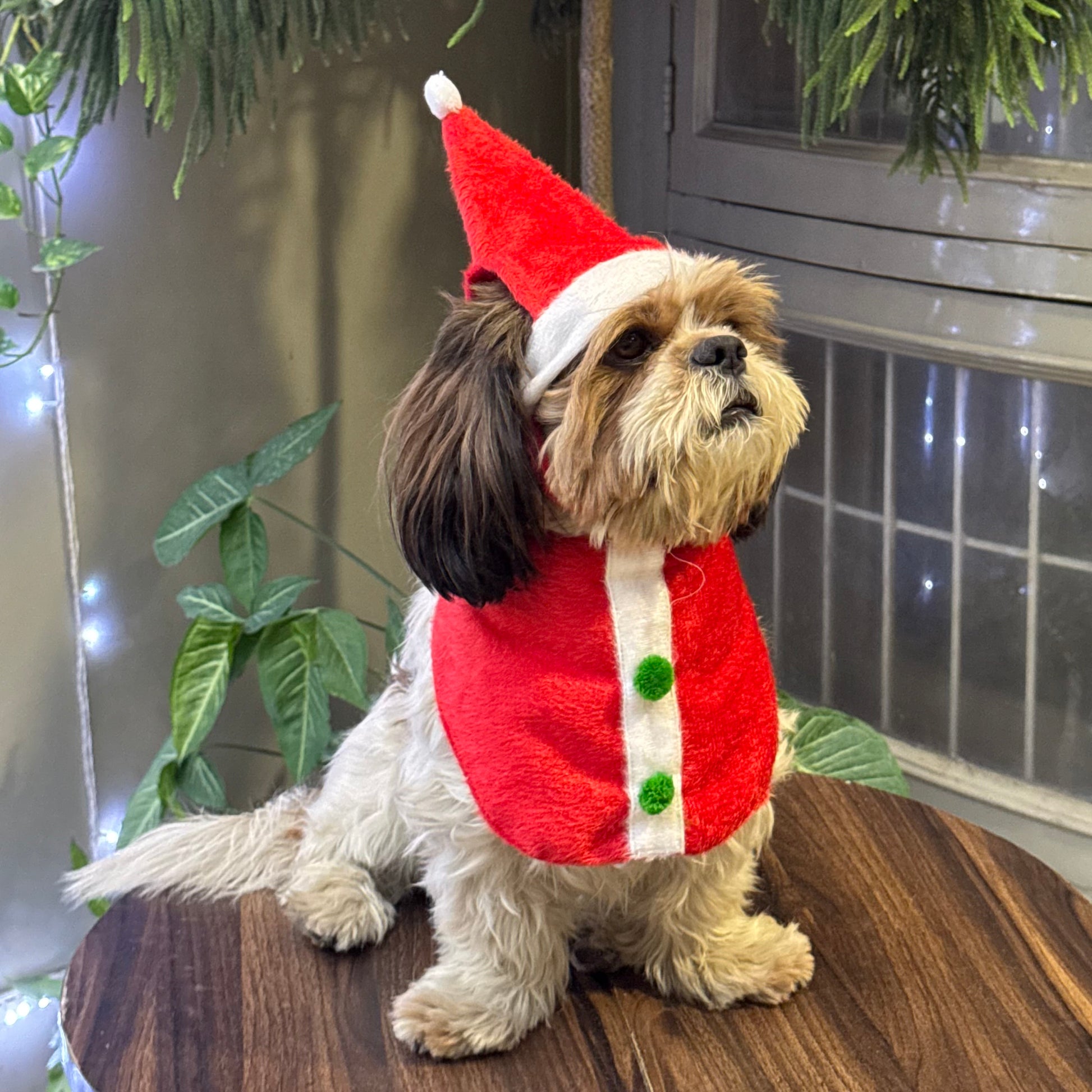 Pawgy Pets Dog Christmas Bandana