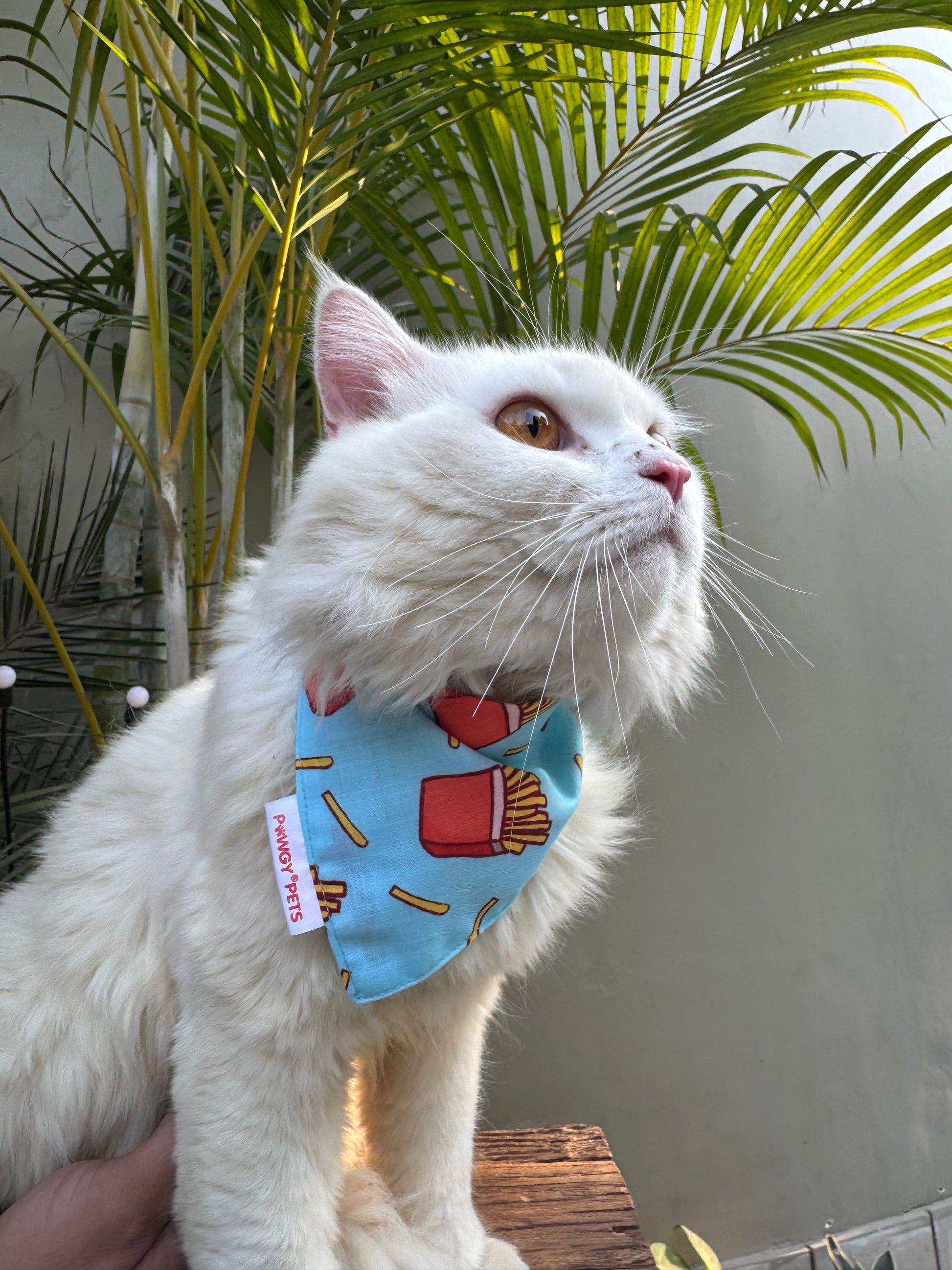 Pawgy Pets Casual Bandana: Fries for Cats and Dogs