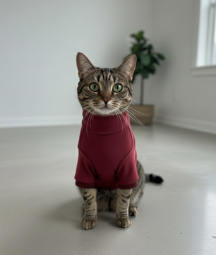 Pawgy Pets Super Soft Maroon High Neck for Cats