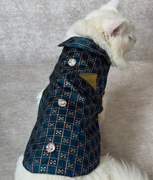 Pawgy Pets Cat Strapy Sherwani Peacock Blue for Cats