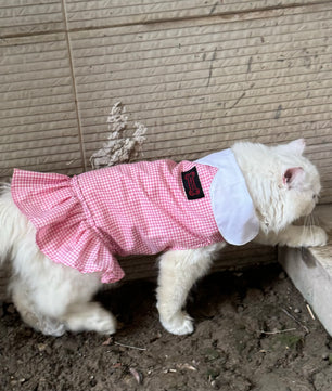 Pawgy Pets Strapy Dress Pink Checks (Cat)