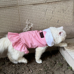 Pawgy Pets Strapy Dress Pink Checks (Cat)