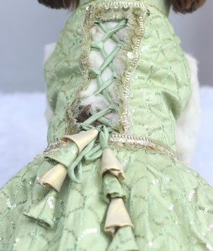 Pawgy Pets Shahi Lehenga- Dress Pastel Green for Dogs & Cats