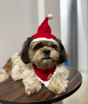 Pawgy Pets Christmas Cap and Bandana set for Dogs and Cats