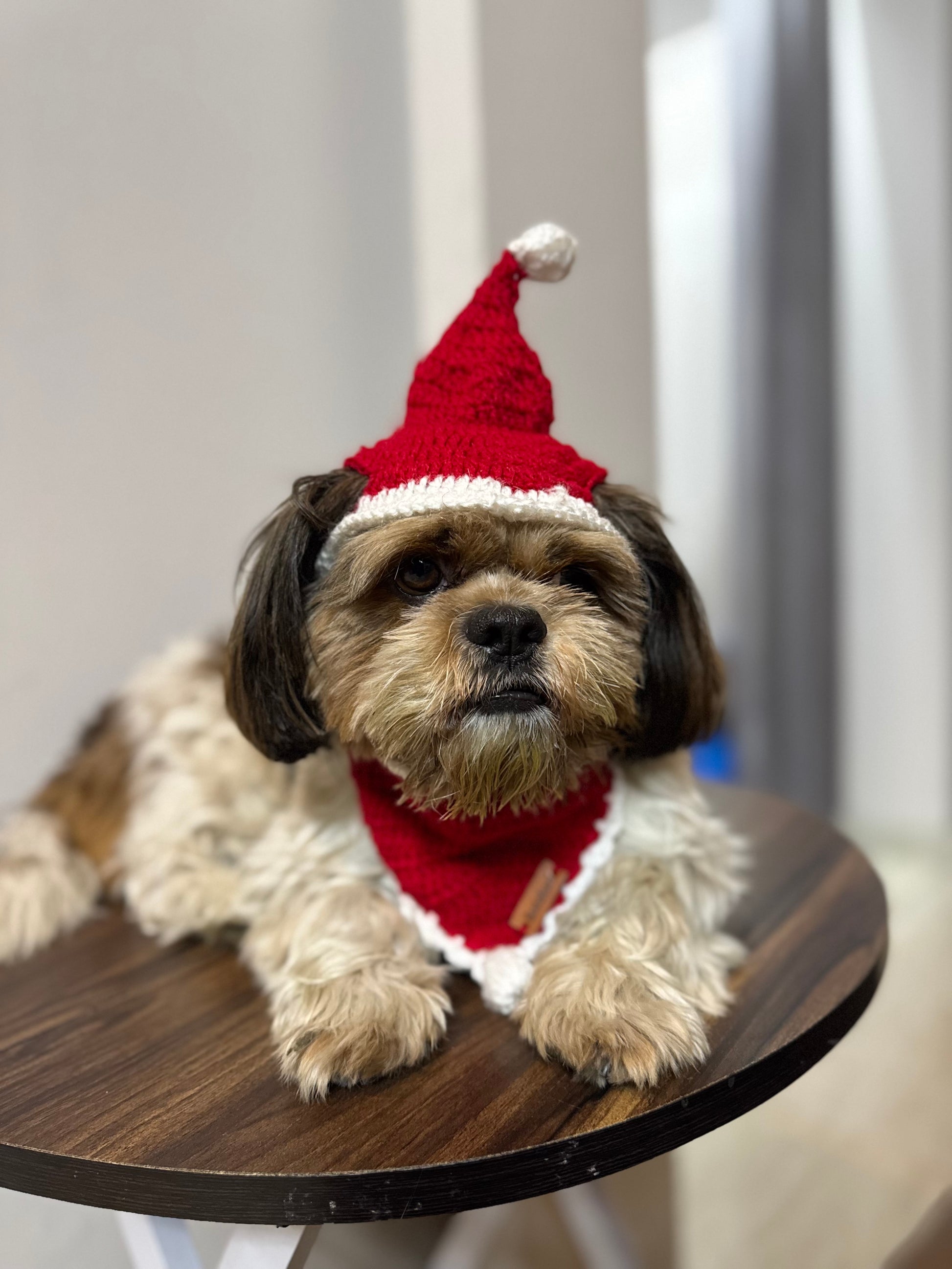 Pawgy Pets Christmas Cap and Bandana set for Dogs and Cats