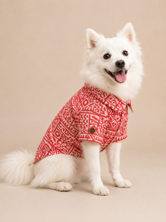 Rust Cotton Kurta | For Dogs | Pawgy Pets
