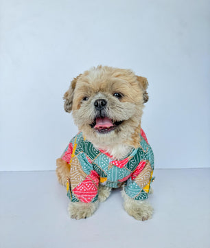Pawgy Pets Multi Bandani kurta for Dogs