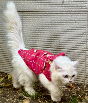 Pawgy Pets Desi Tuxedo Pink (Cat)